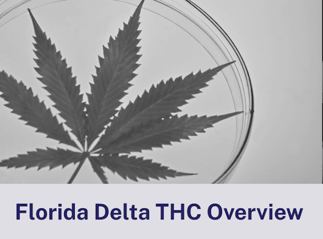 Florida Delta THC Overview