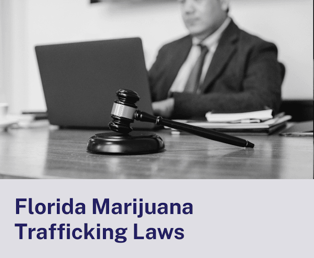 Florida Marijuana Trafficking Laws