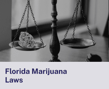 Florida Marijuana Laws