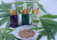 Florida Active Medical Marijuana Patients in 2025.png
