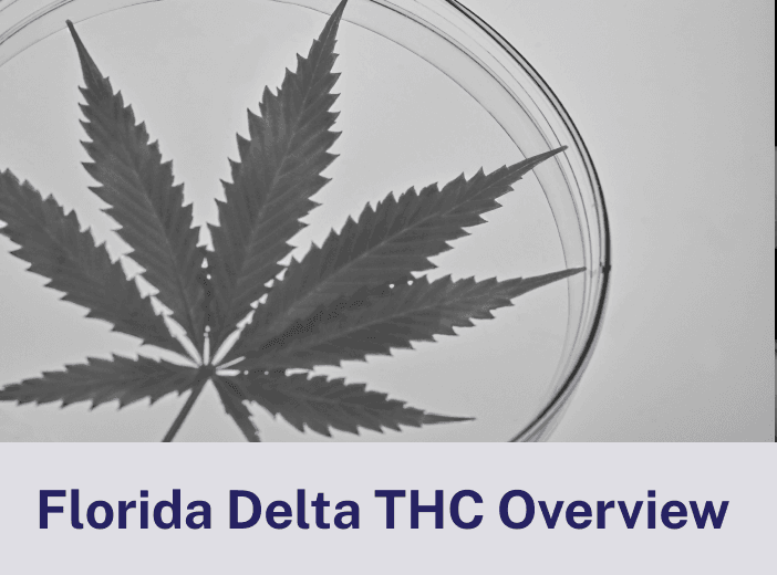 Florida Delta THC Overview
