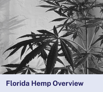 Florida Hemp Overview