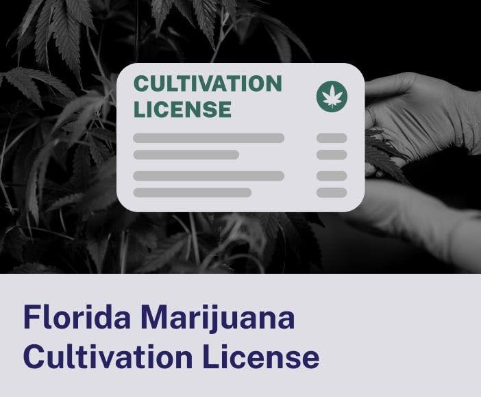 Florida Marijuana Cultivation License