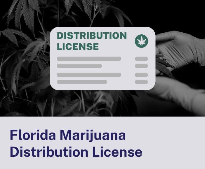 Florida Marijuana Distribution License