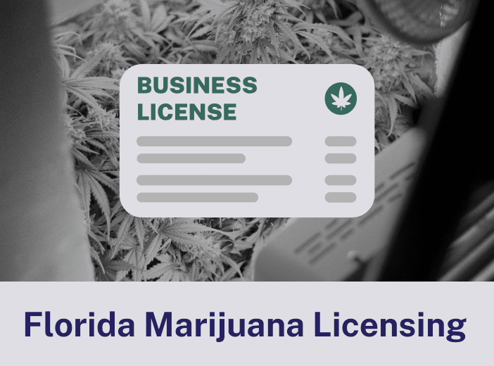 Florida Marijuana Licensing