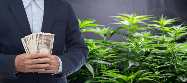 Marijuana Business in Florida.jpg